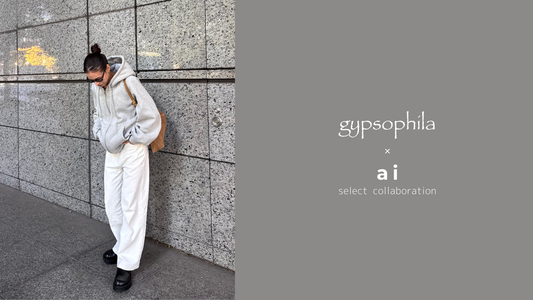 gypsophila × ai select