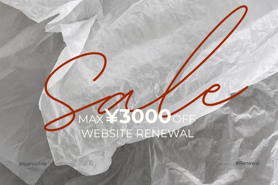 【WEBSITE RENEWAL CAMPAIGN】MAX ¥3,000 OFF