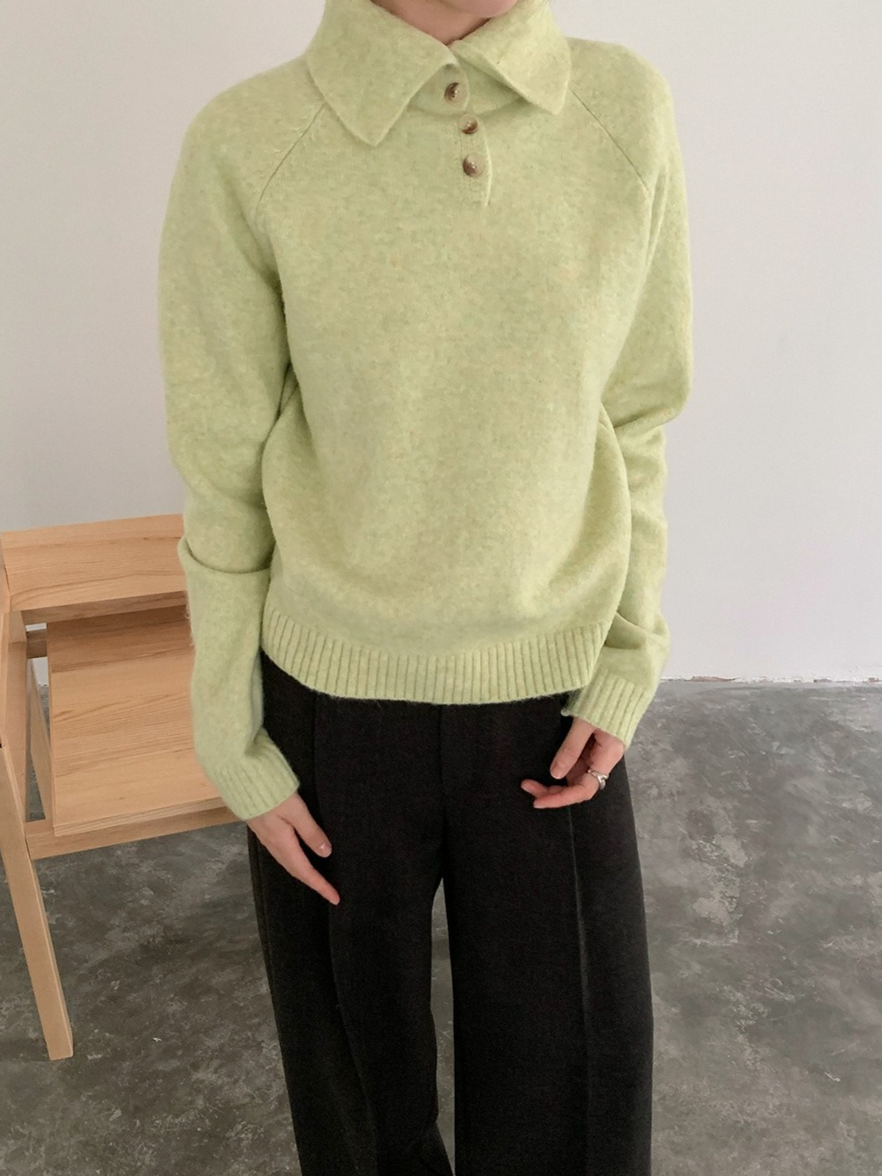 スタンドカラーラグランニット 2198