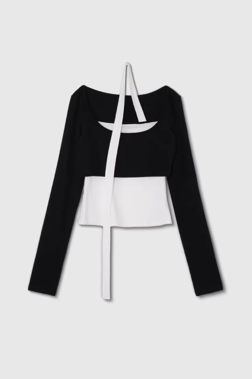 ニュアンスレイヤータイトップス 2289