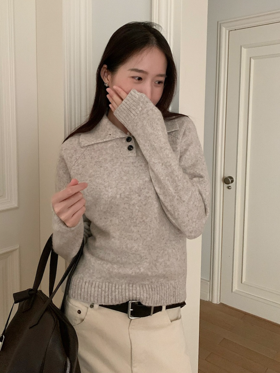 スタンドカラーラグランニット 2198