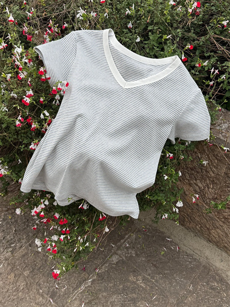 VネックボーダーTシャツ 2391